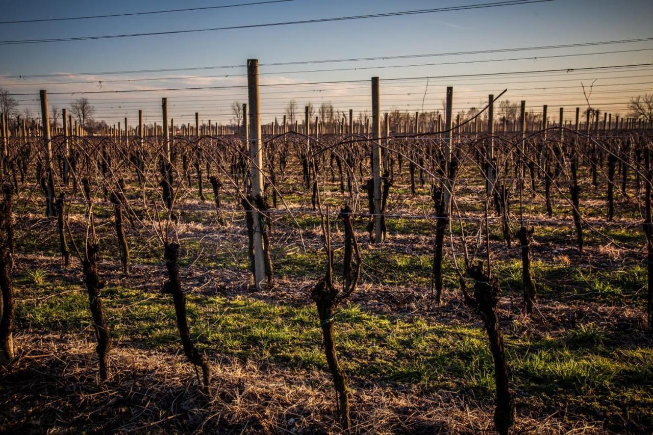 Agriturismo Il Casone Zoppola Luaran gambar